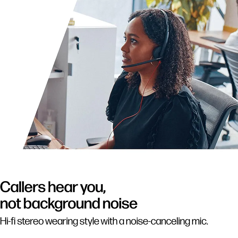 Poly Blackwire 3225 Wired Stereo USB-C Headset with Noise cancelling Mics +3.5mm Plug +USB-C/A Adapter (8X229AA)